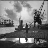 Federico Pellegrini et Hervé Guilloteau